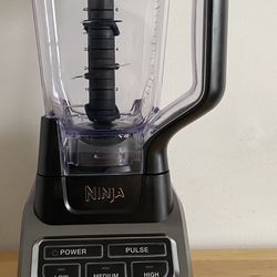 Nina Professional 1000-Watt Blender