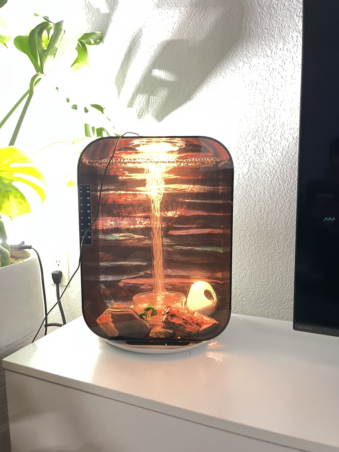 Fish Aquarium