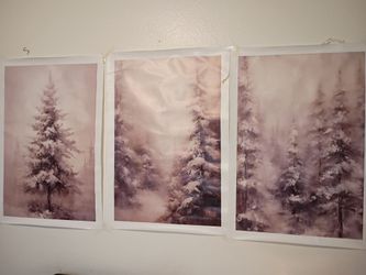 Unframed art on canvas 16x 24 new