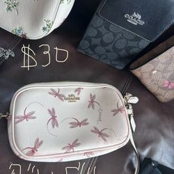 Dragonfly Small Purse from a famous maker