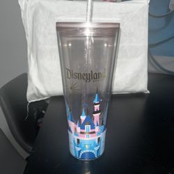 Starbucks Disney Land Cup