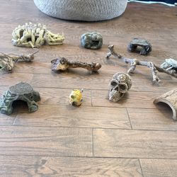Reptile Haul