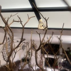 Tree Environments For Reptiles Or Baby Chameleons For Your Home