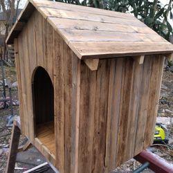 Dog House
