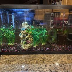 30 Gallon Fish Tank 