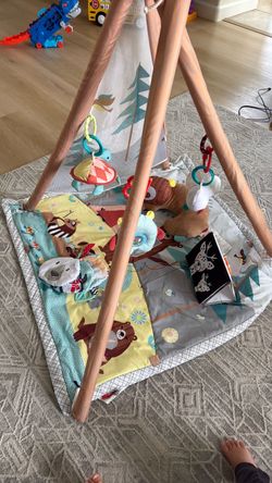 Skip Hop camping  Play Mat and Soft Books