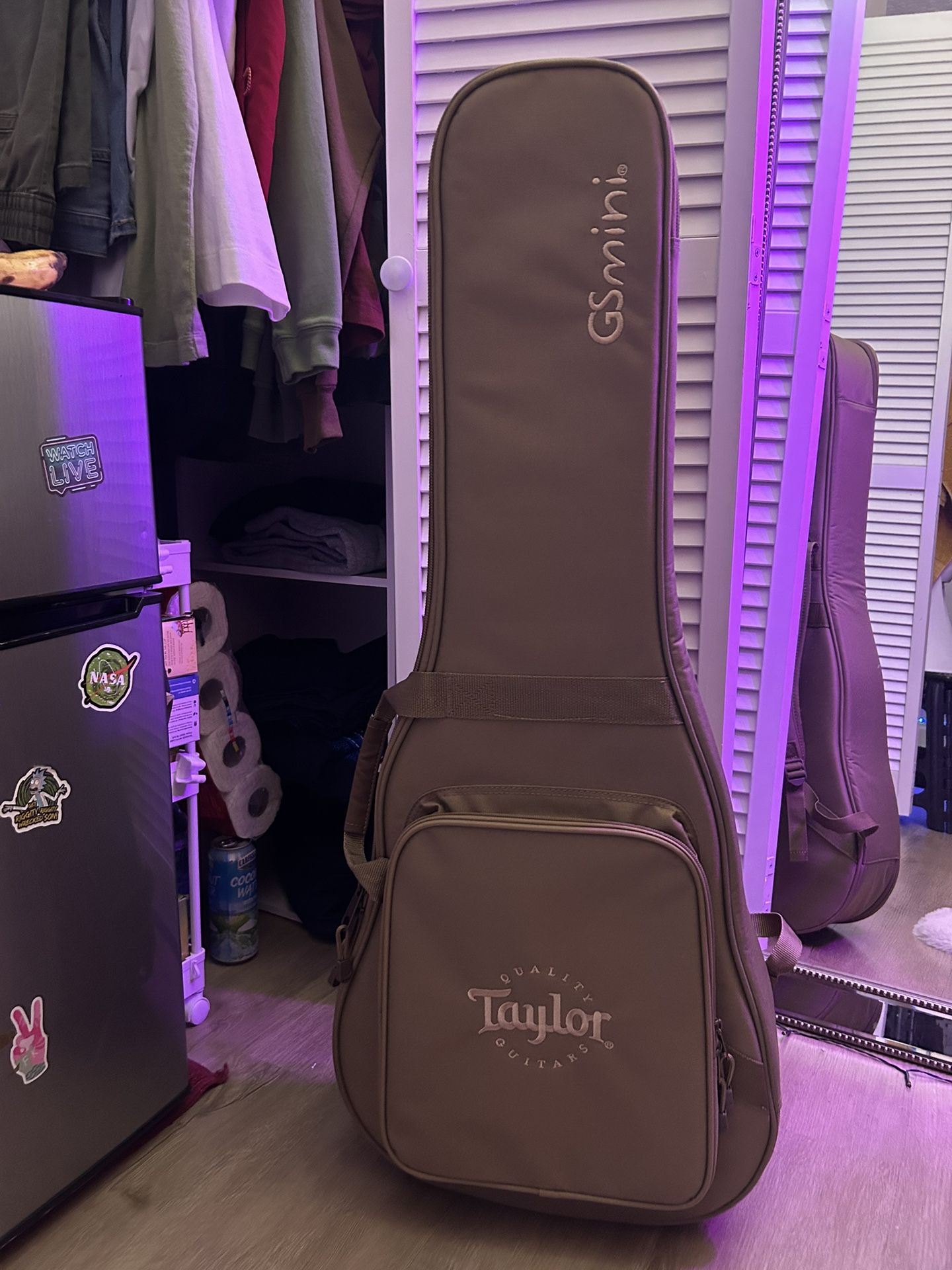 Taylor GS Mini Series Acoustic Guitar CASE