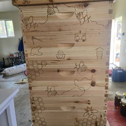 10 Frame Langstroth Bee Hive