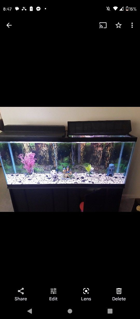 55 Gal Fish Tank 