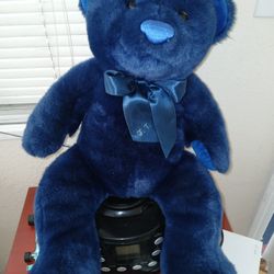 25 Year Old, Teddy Bear