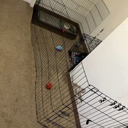 Dog Crate And Gate