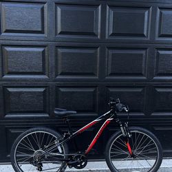 Specialized Hotrock Mountain Kids Bike 24”