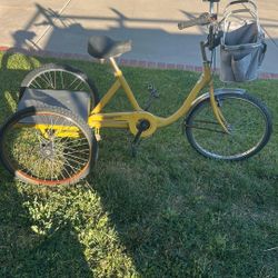 Three Wheeled Trike