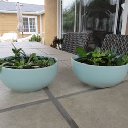 Pair Of Mint Green Garden Pots With Succulents 