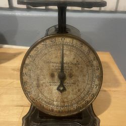 Landers, Frary & Clark 24 Lbs Columbia Family Scale 