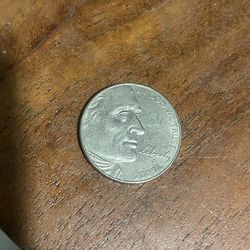 Rare 2005 Nickel D speared bison