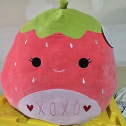 New With Tags Squishmallows Jumbo 24"