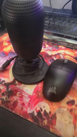 Mic and mice combo