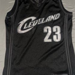 Lebron James Limited Edition Cavs Jersey