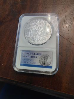 Silver eagle