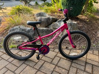 2023 Specialized Riprock Coaster 20