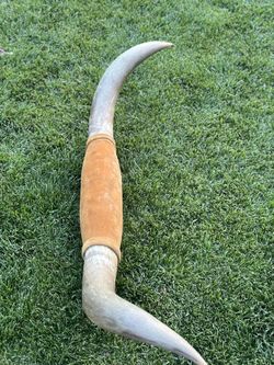 Bull horns