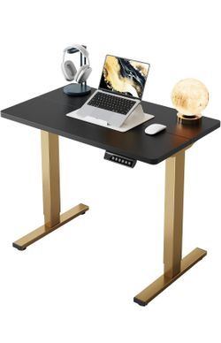 Electric Standing Desk  $60 OBO