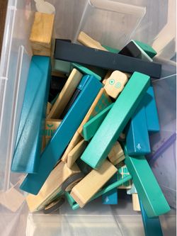 Tegu magnetic blocks