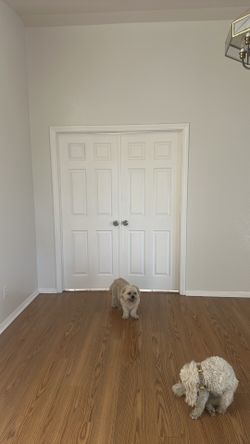 Double doors