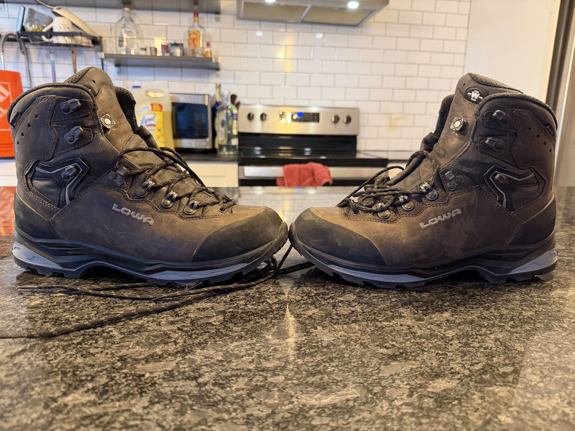 Lowa Camino EVO Boots