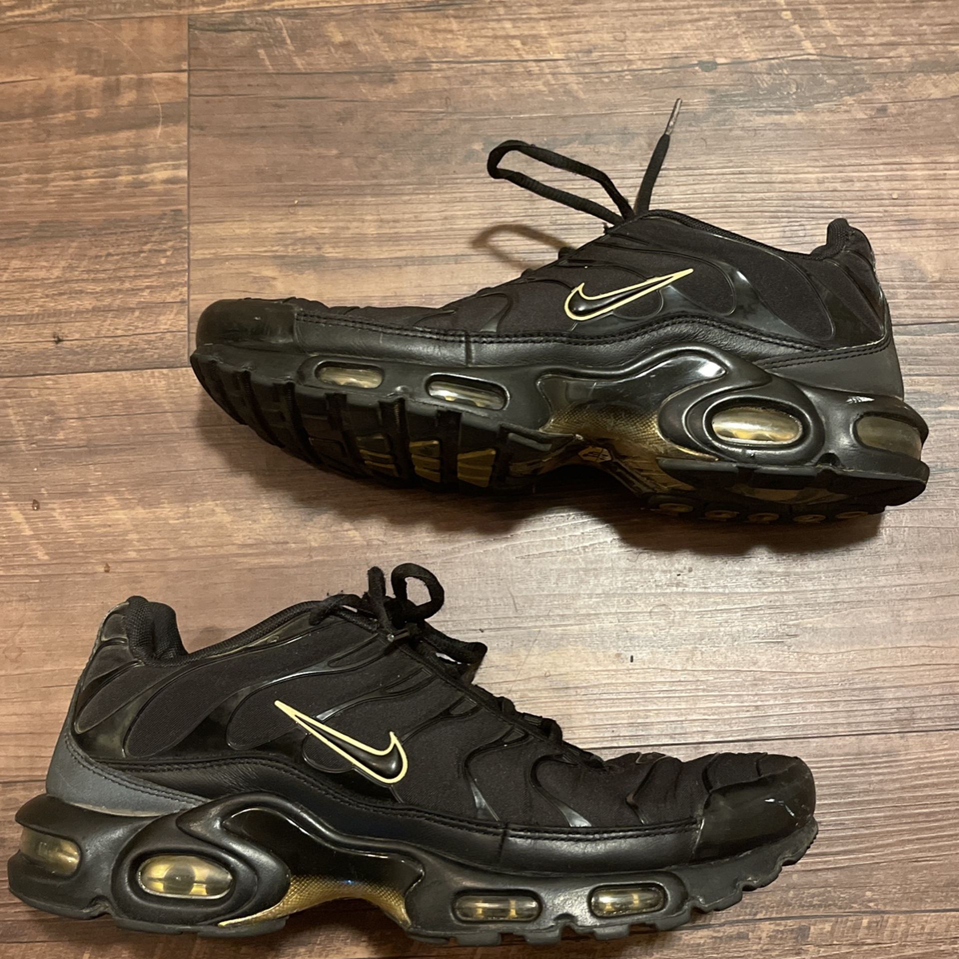 Nike Air Max Plus Metallic Sz. 10