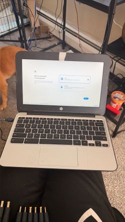Hp Laptop