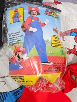 Super Mario raccoon halloween costume