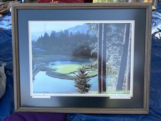 Framed picture