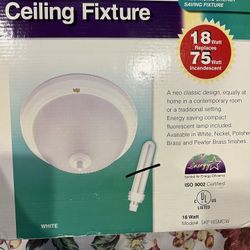 Ceiling Fixture -glass And Metal