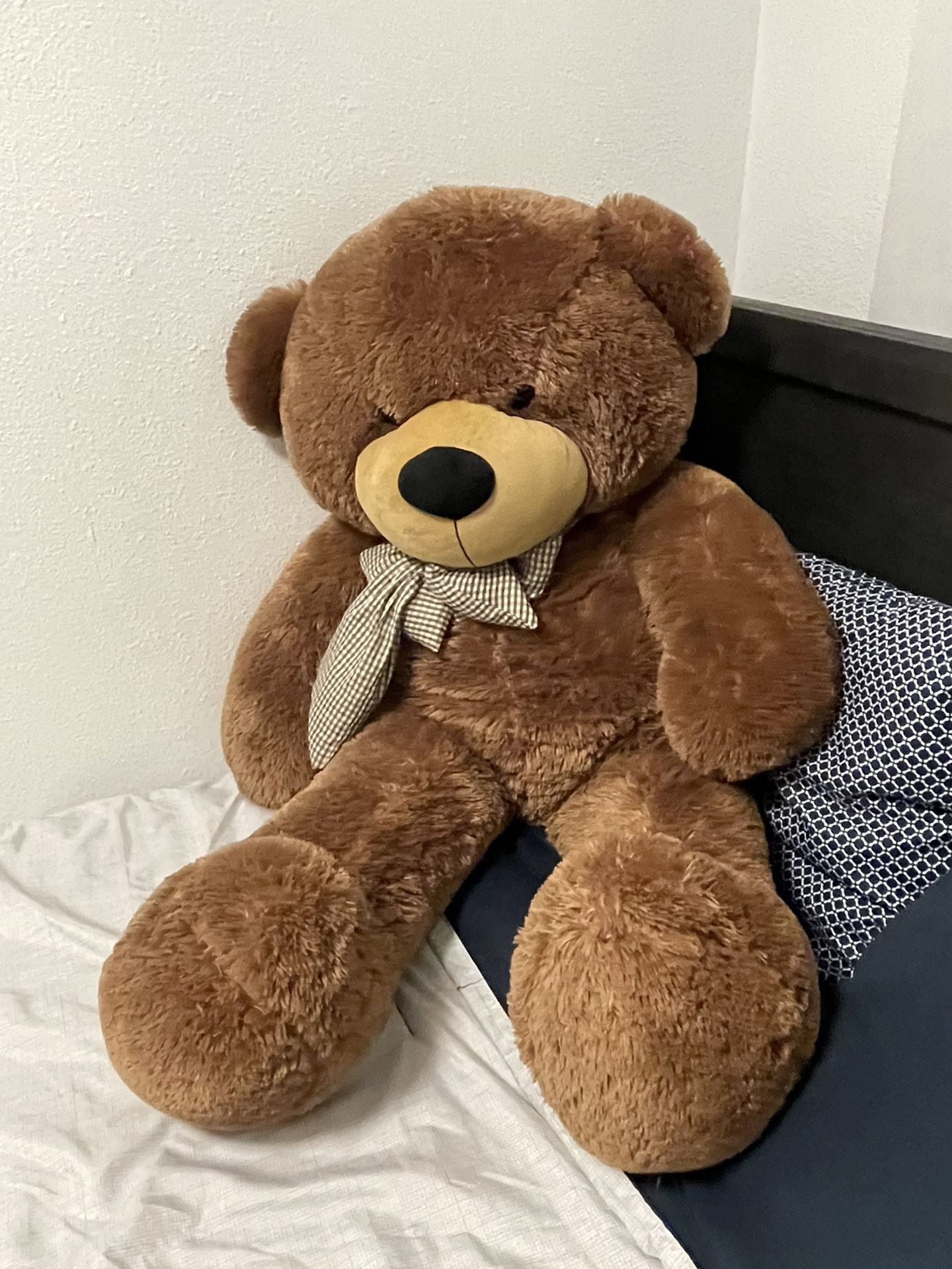 Big Teddy Bear