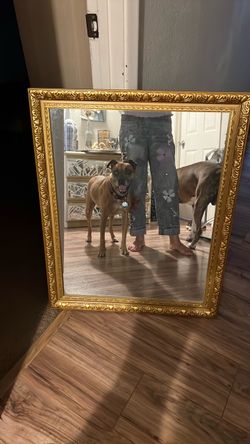 Gold Ornate Framed Wall Mirror