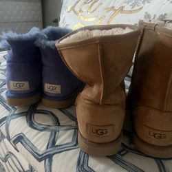 Uggs Boots 
