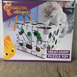 Cat Treat Hunt Box