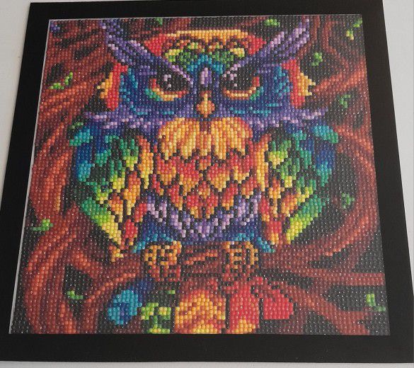 Rainbow Owl Diamond Art Painting With Magnetic Frame 