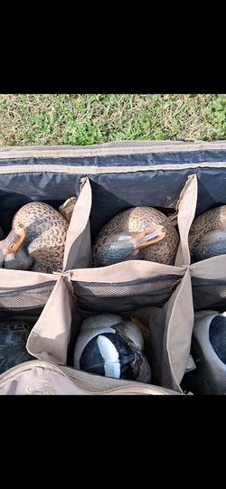 Decoys and waders