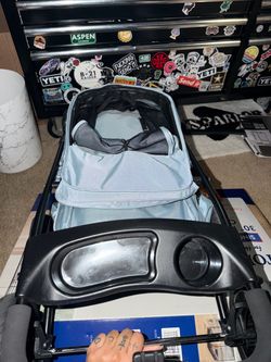 Dual dog stroller