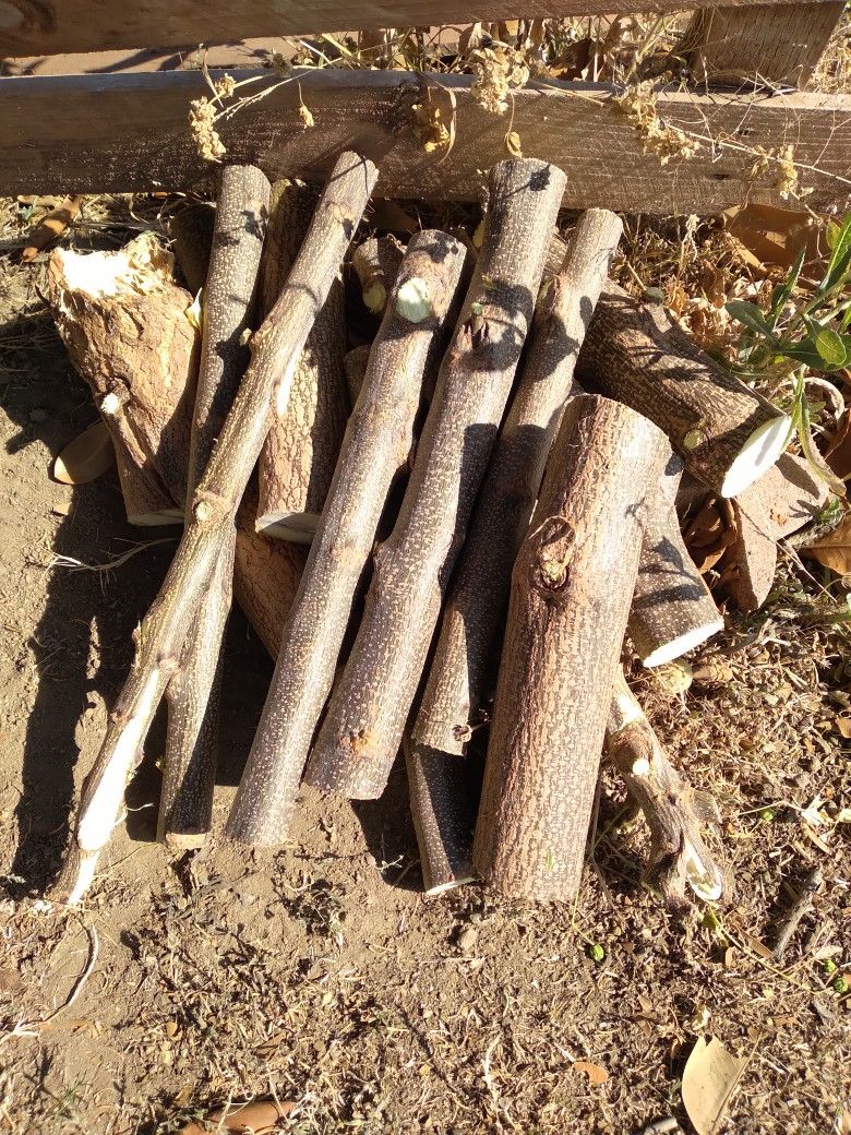 Firewood