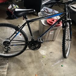 Roadmaster Mountain Bike 