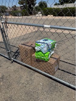 Prevail, large adult diapers