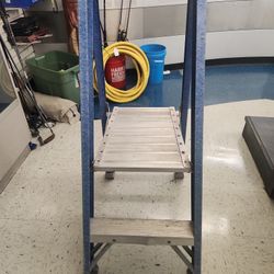 Ladder Louisville 2ft