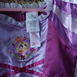 Disney Rapunzel Girls Costum Size 4