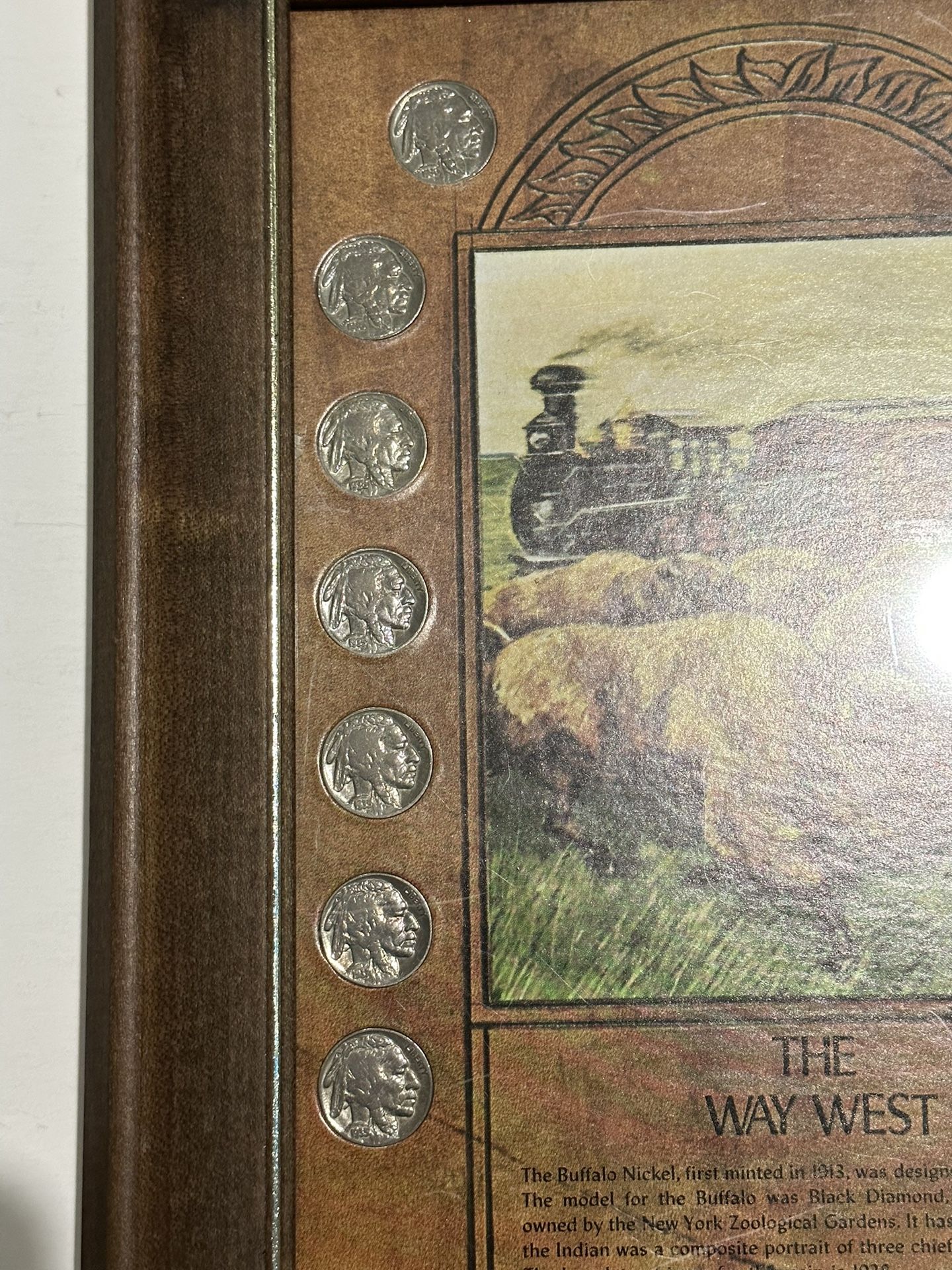 Framed Buffalo Nickels