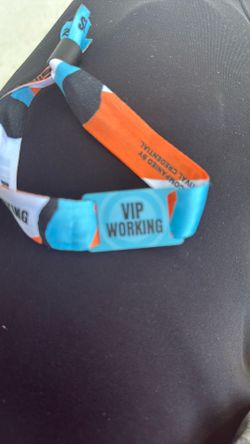Lollapalooza VIP WORKING BAND