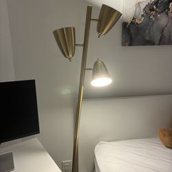 Brushed Gold Lamp